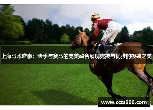 上海马术盛事：骑手与赛马的完美融合展现竞技与优雅的极致之美