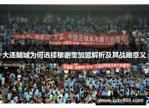 大连鲲城为何选择穆谢奎加盟解析及其战略意义