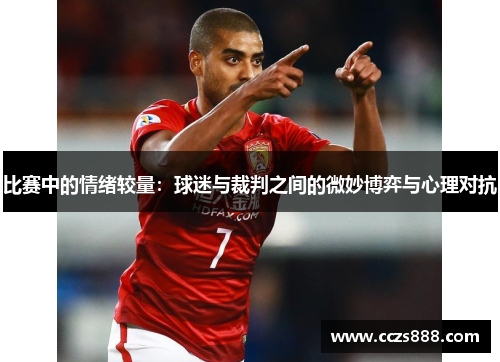 比赛中的情绪较量：球迷与裁判之间的微妙博弈与心理对抗